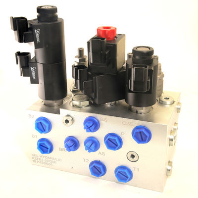 OEM idraulica Solenoide Valve Bank con gruppo di valvole parallele manifold