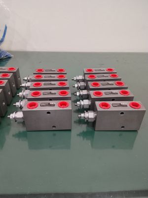 Customized OEM ODM Valvola idraulica contro-equilibrio Overcenter con trattamento duro cartuccia singola o doppia